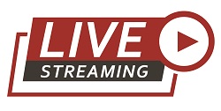 Live Stream